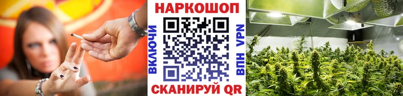 Конопля Кондрово