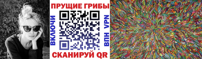 Галлюциногенные грибы Cubensis  Кондрово 