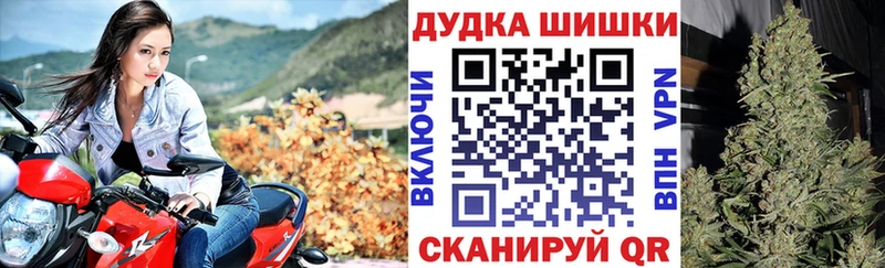 Каннабис индика  наркошоп  Кондрово 